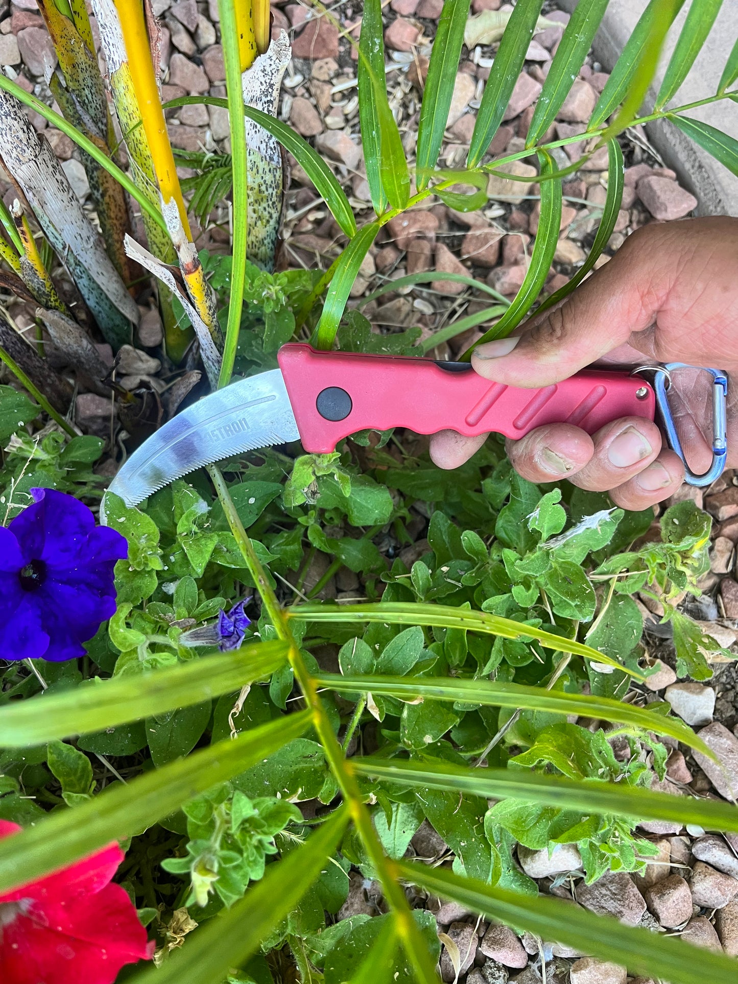 Folding Knife Serrated Stainless Steel Blade With Black Carabiner Sod Knife